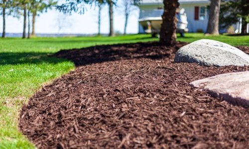 doug-blog-proper-mulching